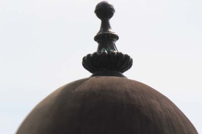 仏像の螺髪みたい…