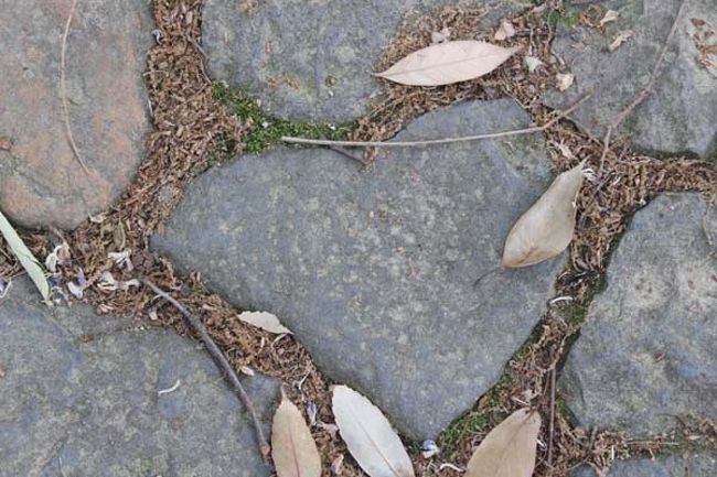 門をくぐったら足元にハート型の石を見つけた♪<br />ちょっと変形してますが、ハートに見えるでしょう？！<br />みなさんも訪れる機会があったら探してみて下さい。<br /><br />えっ？ご利益…それは…分かりませんが。。。