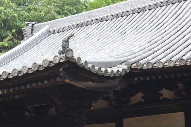 この反り具合が良い！