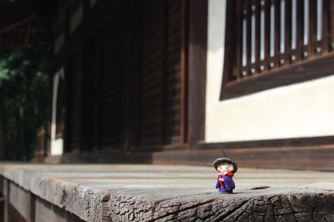 「おー、静かなお寺じゃのぉー、撮らんでよいから…」<br />「そーですか…でも折角なので」<br />「何が折角…なのじゃ？　一人にしておくれ」