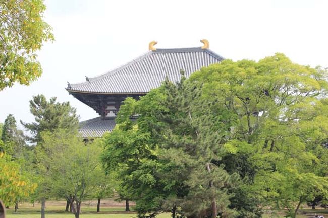 知足院を後にしてテクテク…<br />大仏殿が見えてきました。