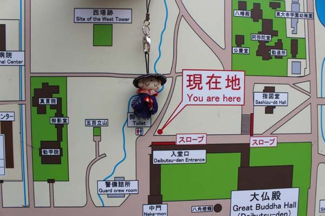 トコトコ…テクテク…今は此処に居ます。