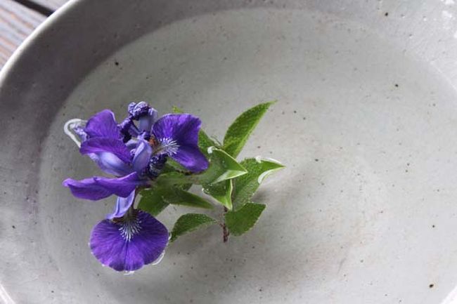 拝観待ちの間、昔なつかしいサイト「奈良の都は咲く花の」の話で大いに盛り上がりました。<br />ドリフターズの面々になぞられて、隊長の長さんが今日は不参加で…と<br />残りは、誰が誰に？？？<br /><br />いつしか年齢の話に(苦笑)<br />大抵の方があるメンバーさんの妹さんだったり、弟さんだったりの年齢か、もしくは近いか…に(笑)<br /><br />気持ちも改め拝観。。みなさん、真剣に三輪さんの説明を聞いています<br />もうお寺の方みたいです。スラスラと丁寧にお話されてました。