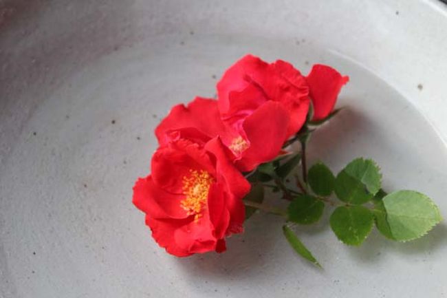 拝観が終わり、三輪さんがセッティングして下さったところで夕食を頂く事に。<br />食事中も笑いが絶えず、話も盛り上がりっぱなし…時間超過してしまいました。<br />そうそう、ここでもう一度「私は下戸です　(笑)」<br />昔っから「一升瓶を横に置いてご飯食べてるでしょう？！」って言われます…決してそんな事はない！と声を大にして言いたい(苦笑)<br />大人しくお茶を飲みながらの食事でした。<br />あっ、すこーーーしだけお酒を頂きました。(^.^)<br /><br />今回の奈良はとっても楽しくて、有意義な奈良旅です。