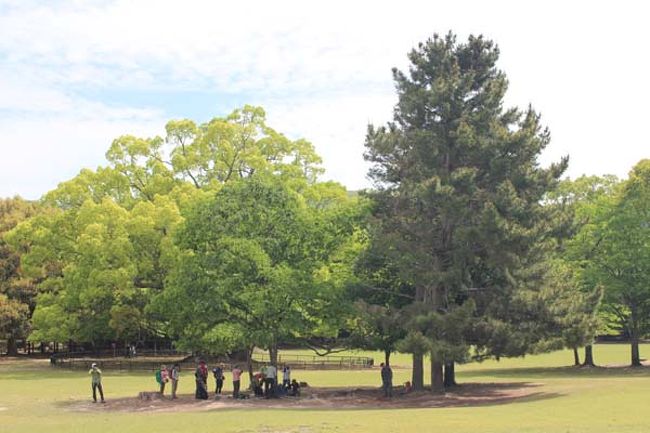 広々として良い空間ですね。<br />本を読みながら１日ボーっとしてたい<br />ん？鹿って紙も食べたっけ？？