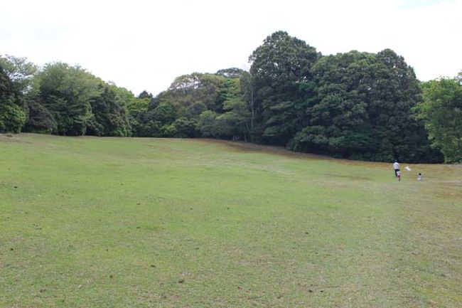 藤の蔓たちを抜けるとそこには！！<br />奥飛火野です。<br />奥に小さく映る人たち、、ご近所さんらしく蝶々を取りに来てました。<br />「奥に公園があるから」と誘って頂いたので、後ろからついて行く事にしました。<br />「あそこの奥が、ささやきの小道、ここが鷺原道です、その先を越えると鹿苑ですよ」と説明してくれました。<br />有難う♪