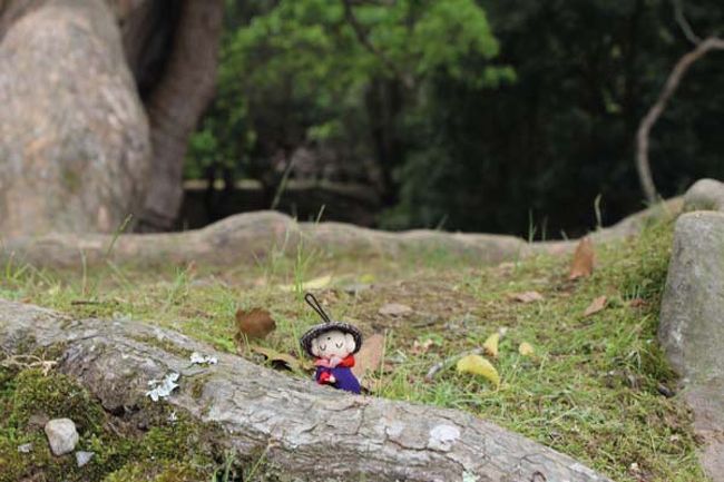 「木の間は、足元が危ない、やれやれ此処だとここだとゆっくり瞑想できしょうじゃ…　色即是空…」<br /><br />おや？こんな所に移動して…　パシャ！(^_-)-☆