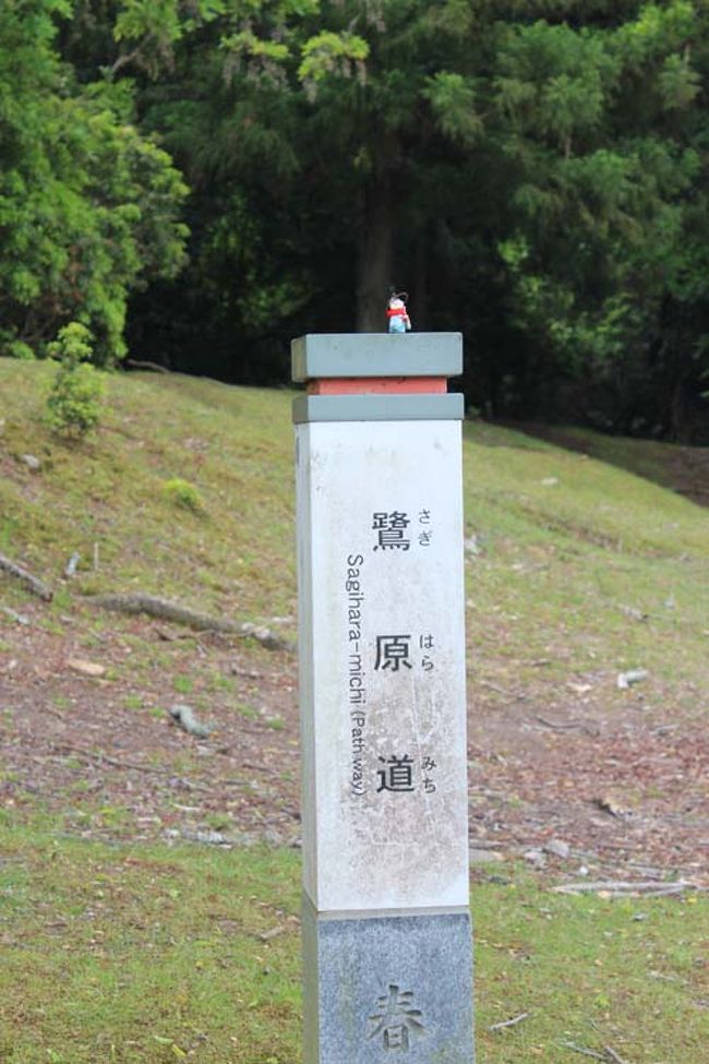 鷺原道の道標に、はなさんの分身がちょこんと。<br />ごめん、私も１枚撮らせて。。<br />断りもなく撮った１枚です。すみません、便乗しました^_^;<br /><br />そこへ、コクリコさん登場<br />「めぐみ☆さんが嫌いな青虫が足首についてのぉー。ほらっ」<br />おー！　足首になにやら黄緑の汁がついてる…ブルッ<br />「ムリに剥がしたしたから、死んだかしら？(^_^;)」<br />といいながらも撮影に加わるのでしたぁー(笑)