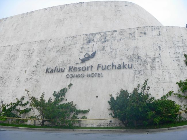 ５８号から入って５０ｍぐらいで