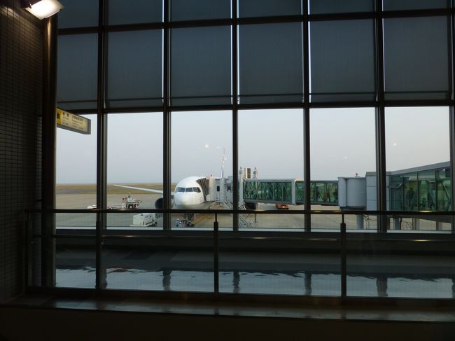 今回も山口宇部空港から出発。<br />今回はGWの二日目の夜に出発なので、家でゆっくり過ごして深夜便に備えてお風呂にも入っていざ出発。<br /><br />荷物はロサンゼルスまでスルー！<br />羽田経由にしてからとっても楽になりました。<br />