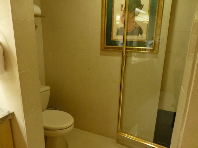 トイレと右はシャワーブース。<br /><br />シャワーは固定式。<br />お湯の量は豊富です。<br />温度も熱々〜。