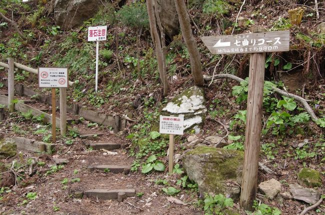 道南・函館に隠された魅力あり～その2（春の野草・花満開の函館