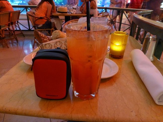 レモネードの大きさをカメラのケースで表現。<br /><br />大きいの分かります？<br /><br />たっぷり飲めました〜。