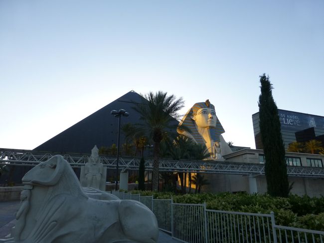 時差ボケと疲れで夜の散策は諦めてホテルに戻りました。<br /><br />夕焼けのルクソール。<br /><br />デュースならホテルの前にバス停があるので、便利です。<br /><br />この日は疲れて居たので夜7時には寝てしまいました。