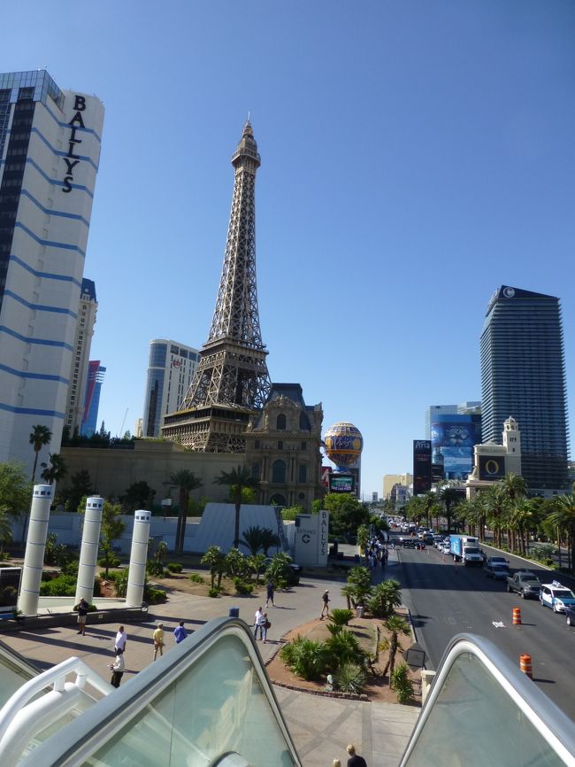 フォーコーナーからパリスを一枚。