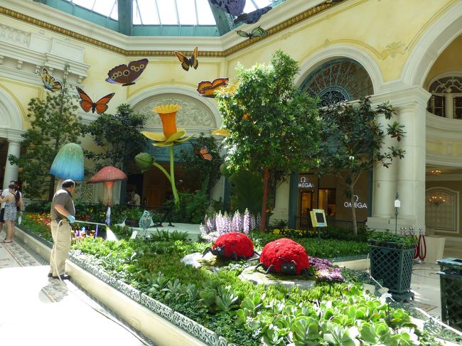 庭園はお花が綺麗でした。