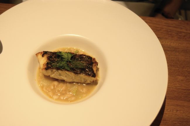 姫は真鯛をチョイス♪