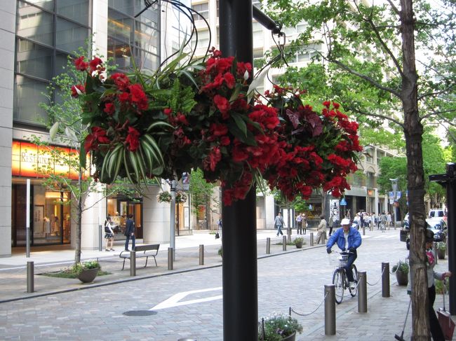 音楽ではなく丸の内仲通りに飾られる『花』をみにきました。<br /><br />ヨーロッパではよくみかける風景ですが、日本ではあまりみませんよね。
