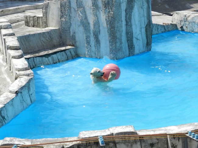 一生懸命浮きを持つ姿がかわいいです。