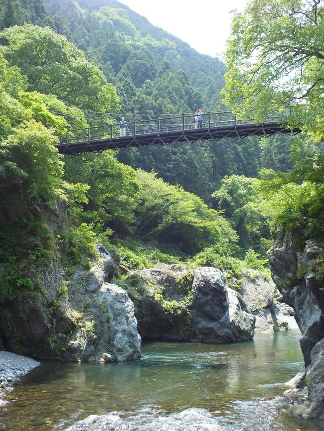 新緑！鳩ノ巣渓谷を歩いてきました。』奥多摩(東京)の旅行記・ブログ