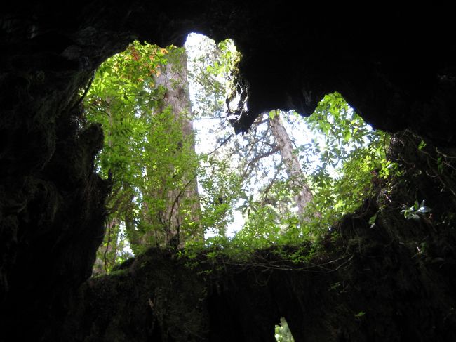 ウィルソン晴れバージョン。さっきとの違いがわかるかな？