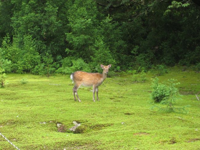 こっち見てる！