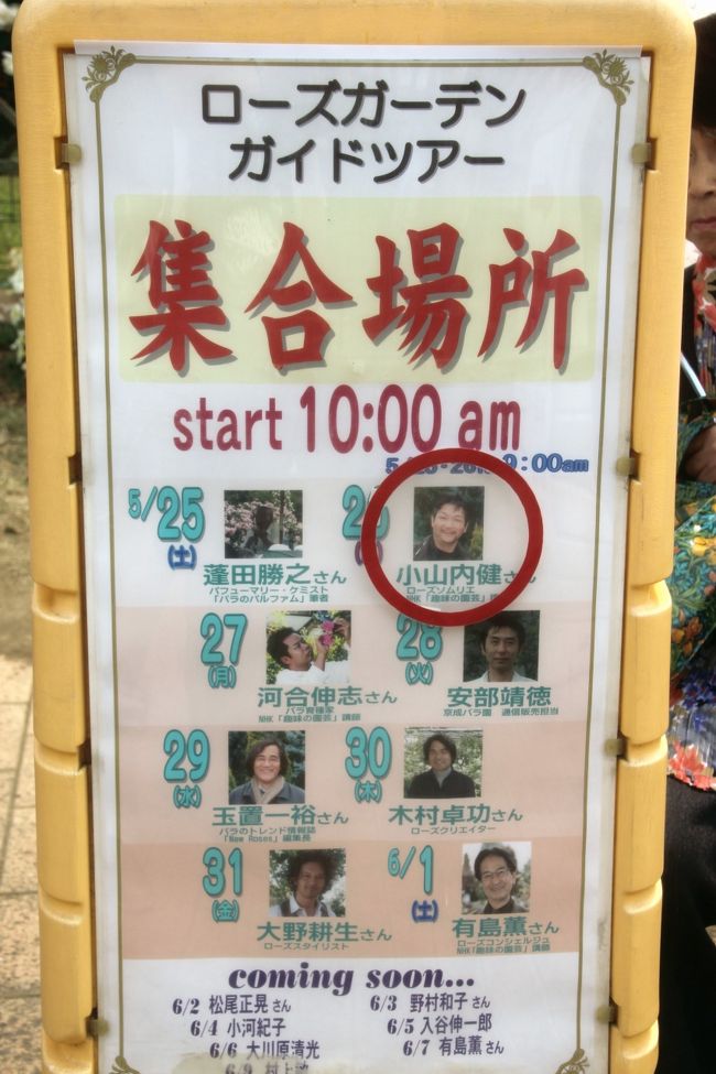 春バラ詣クライマックスの京成バラ園とレッサーパンダ詣(2)鈴木省三氏のアニバーサリーガーデンと2013年秋出荷の新品種のバラなど