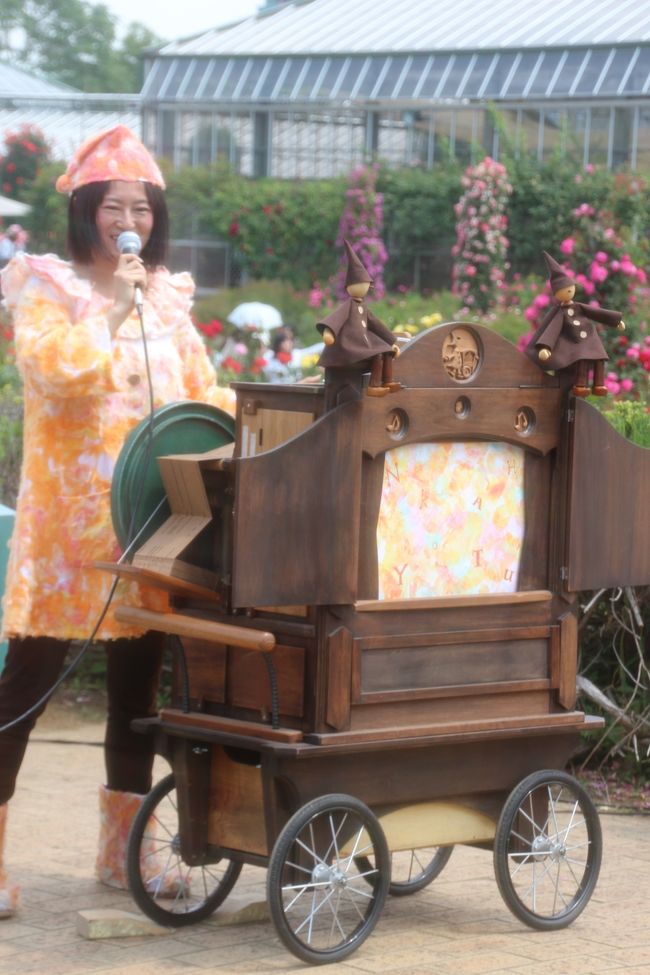 可愛い手回しオルガンと可愛いお姉さん