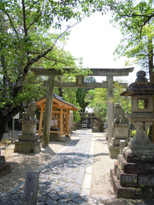 「奈良豆比古神社って般若寺の近くにあってなかなか雰囲気の良い神社なんですよ」<br />とはな☆さんが昨夜夕食の時に話していた神社です。<br /><br />祭神は施基親王、平城津彦、春日王。<br />施基親王は、午前中に行った白毫寺でもゆかりのある天智天皇第7皇子志貴皇子のこと(今日はご縁があります)。<br />春日王は志貴皇子の皇子。<br />平城津彦は産土神(うぶすなかみ)と言われています。