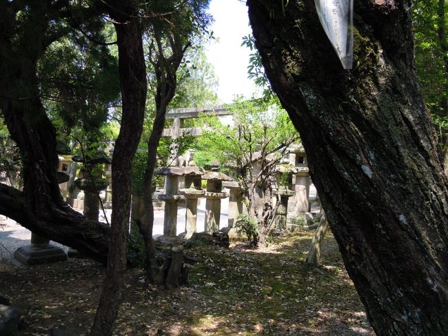 はな☆さんが、お参りするのもそこそこに<br />「こっち、こっち。こっちに是非見せたいものがあるのよ」<br />と境内に南西に案内します。<br /><br />なんでしょうか、ワクワク。<br />