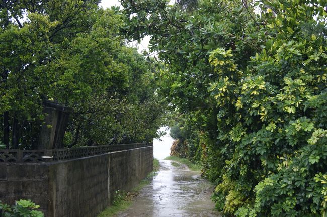 沖縄の昔ながらの原風景をたっぷりと味わう事が出来ます。