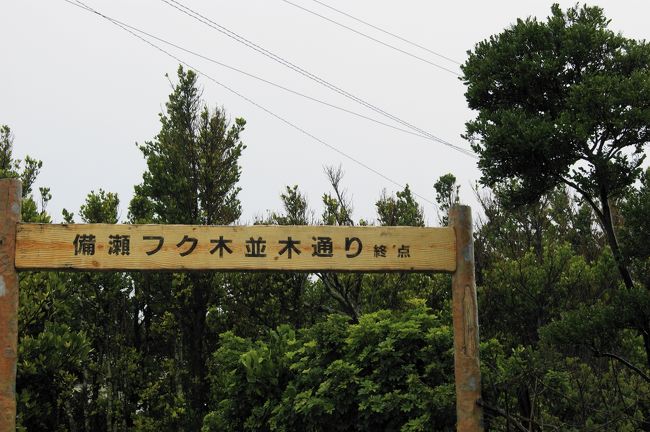 途中、正式な看板なのか？何なのか不思議な場所に設置されてます