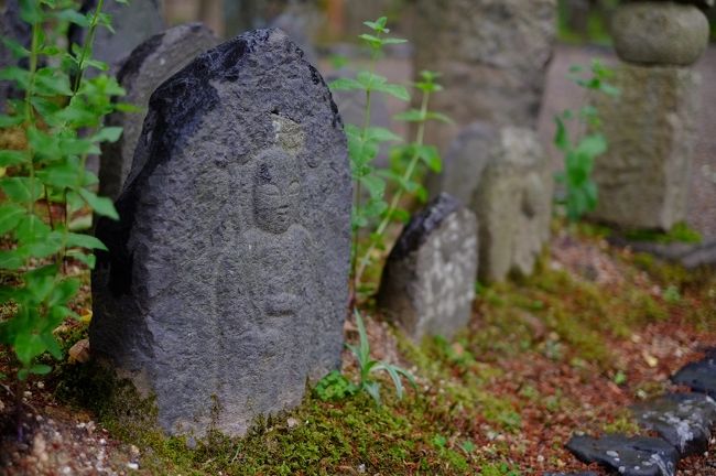 ８月に行われる元興寺の地蔵盆はとても幻想的。写真でしか見たことがないので、一度行ってみたいです。