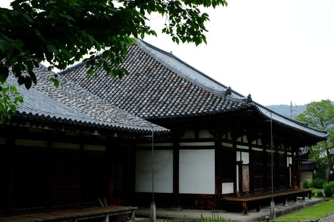 極楽堂と禅室の屋根の一部には、飛鳥時代の瓦が数千枚使われています。他の部分と色が違って明るくカラフル。