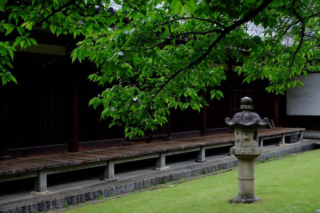 雨のお寺もいいですね。