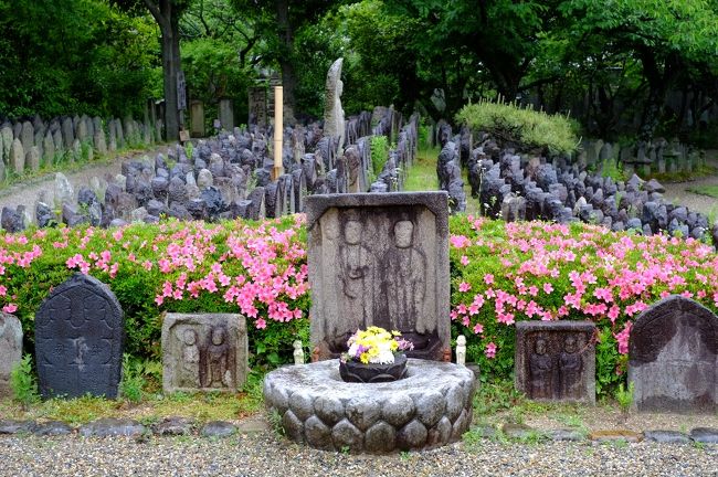 雨が小降りになるまで、本堂（極楽堂）と収蔵庫を長めに見学しました。<br />外に出て庭を眺めると、以前と少しだけ様子が違うような。全体的に整えられた感じです。