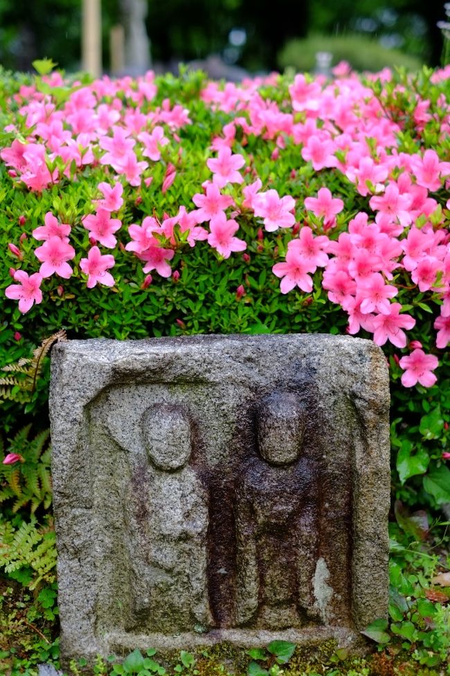 さて、特別に楽しかった３日間の奈良旅もこれでおわり。<br />友人たちへのばらまき用のお土産に、ぜいたく豆本舗のお菓子を買って帰途につきました。