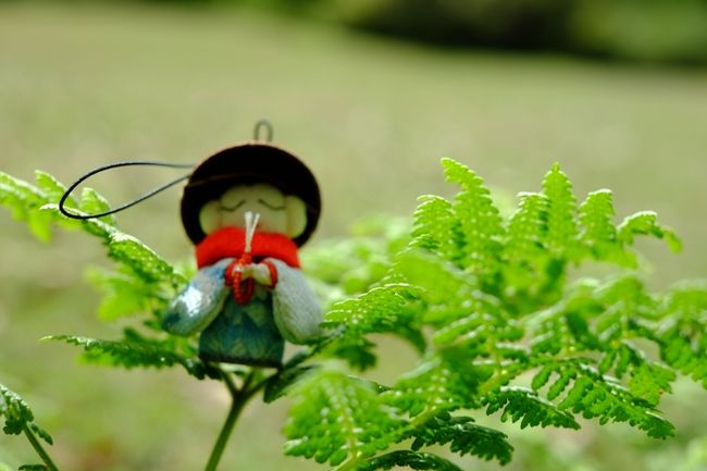 そしてここでも、めぐみ☆さんの手作りミニ地蔵さん登場！<br />シダの葉っぱに乗っけてみました。ピンぼけですが。
