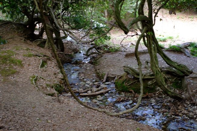 奥飛火野はこれだけではありません。第２の広場のそのまた奥があるのです。<br />またもや一見行き止まりかと思える道無き道を進み、また小川を渡ると…