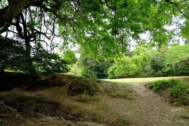 １時間ほど奥飛火野を堪能したあと、再び来た道を通って帰りました。<br />