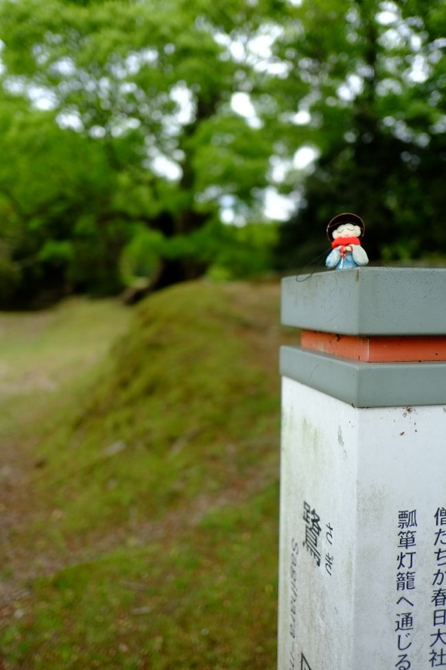 奥飛火野の手前に、鷺原道（さぎはらみち）という標柱がありましたが、現在は道らしき道は見当たりません。かつて興福寺大乗院の僧たちが春日大社へお参りした道だと書いてありました。<br />別名「地蔵道」と呼ばれているそうなので、またお地蔵さんにご登場願いました。<br />
