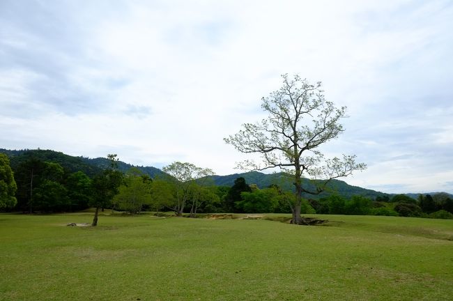 下界に戻ってきました。<br />そう、あの場所に行った後では、本当に下界に思えます。<br /><br />これから大和郡山に行かれる予定のコクリコさん、めぐみ☆さんとはここでお別れ。３日間本当にありがとうございました。<br />