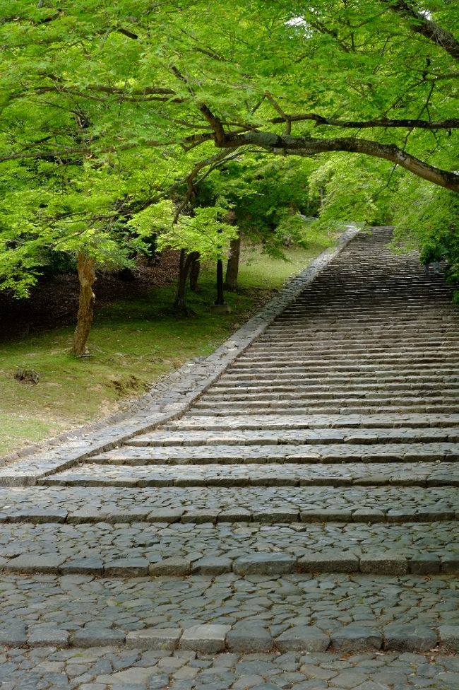 無事下りきって、振り返って１枚。