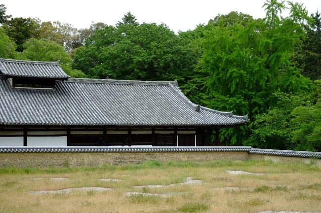 いつも定点観測してしまう大湯屋横の空き地。<br />もうすぐ田植えでしょうか。
