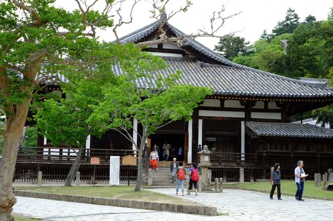 三月堂です。<br />修理のためしばらく拝観できませんでしたが、前日から再開されたと聞いてやってきました。<br />堂内に入るのは２０１０年の３月以来だと思います。楽しみ。でもちょっとこわい。<br />というのは、この修理を機に三月堂を去ってしまわれた仏さまたちがおられるからです。日光・月光菩薩像など塑像の仏さまは、耐震設計の東大寺ミュージアムに移ってしまわれたそう。三月堂の仏さまたちはすべてスター級なので、何人か抜けて、ずいぶん寂しい感じなのでは？