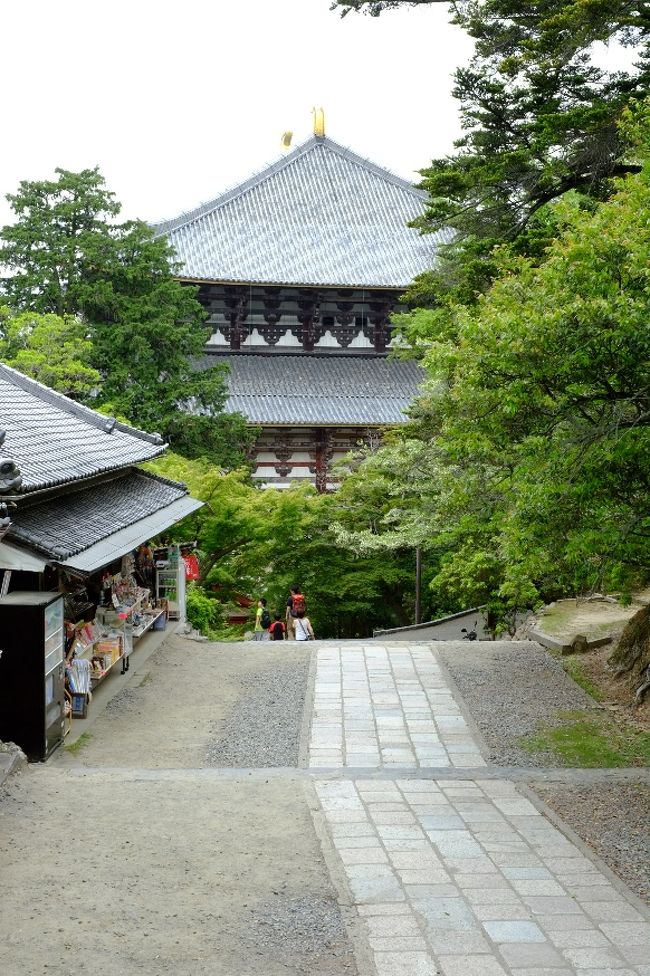 大仏殿に向かって下っていきます。