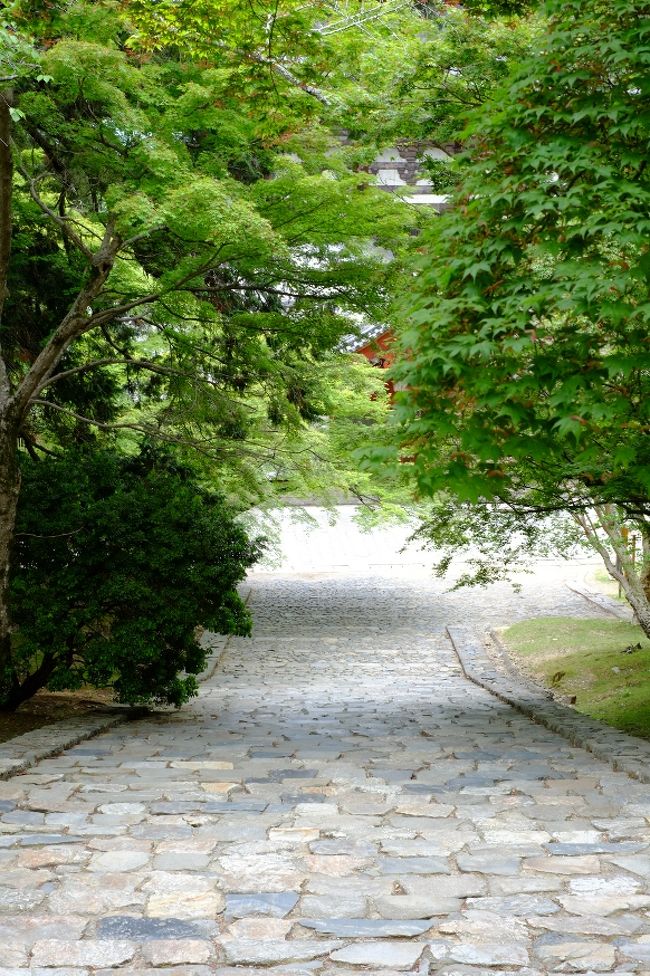 猫段と呼ばれる石段です。途中で転ぶと猫になるそうなので気をつけないと。いや、いっそ猫になるのもいいかも…。