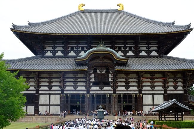 今日は大仏殿は外から眺めるだけにしました。修学旅行生がいっぱい！