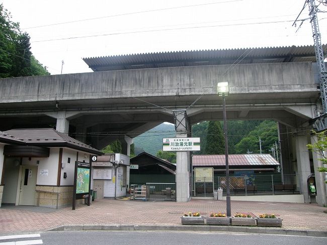 川治温泉の旅 上三依水生植物園を楽しむ 川治温泉 栃木県 の旅行記 ブログ By いっちゃんさん フォートラベル