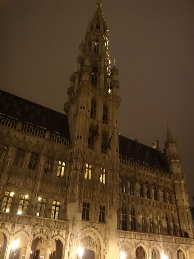 『ブリュッセル市庁舎』（グランプラス南西側）<br /><br />炎が燃えるような装飾が特徴のフランボワイヤン様式<br />（後期フランス・ゴシック様式）の建物で、<br />内部見学はガイドツアー（英語、フランス語、オランダ語）<br />のみになっています。